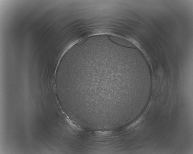 X0000062621145200601040958