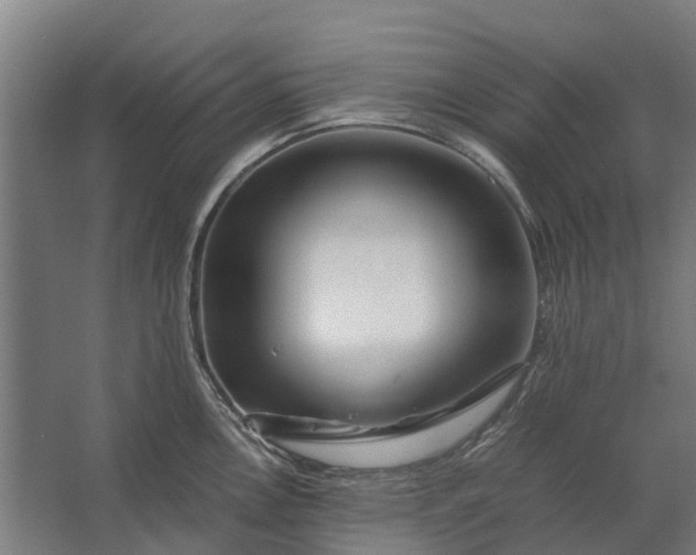 X0000062621146200601040958