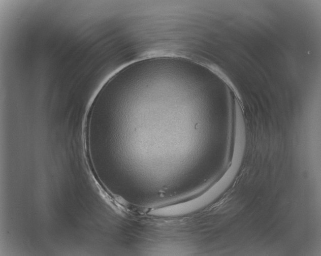 X0000062621148200601040958