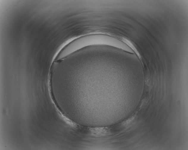 X0000062621149200601040958