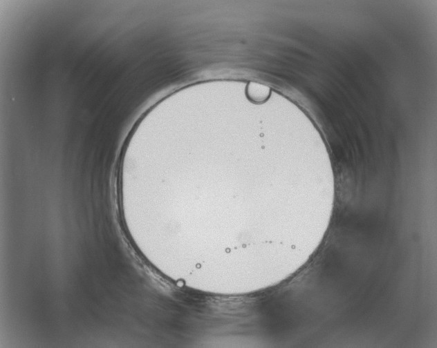 X0000062621150200601040958