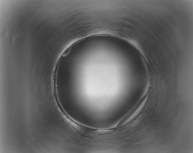 X0000062621151200601040958