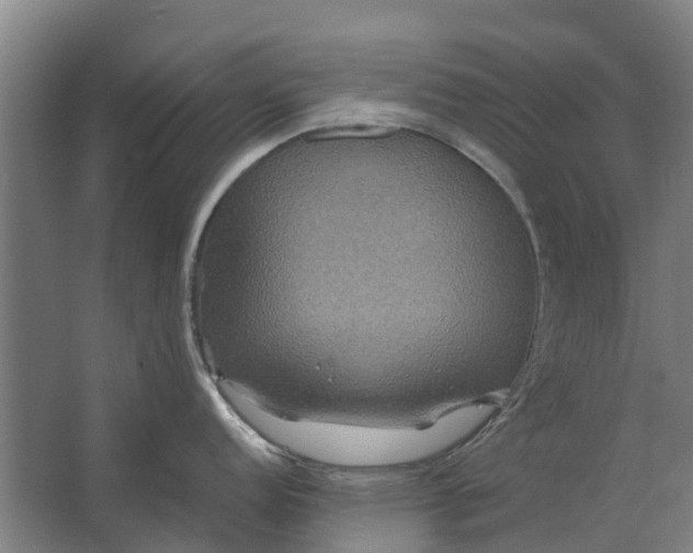 X0000062621152200601040958