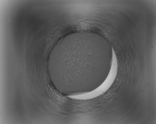 X0000062621153200601040958