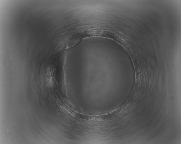 X0000062621154200601040958