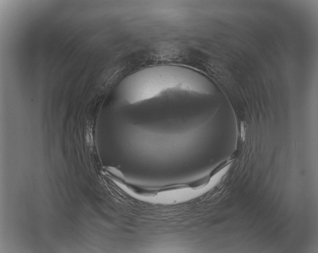 X0000062621155200601040958