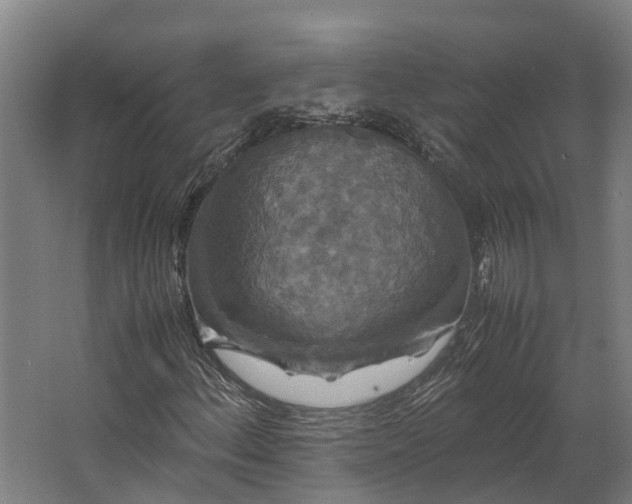 X0000062621156200601040958