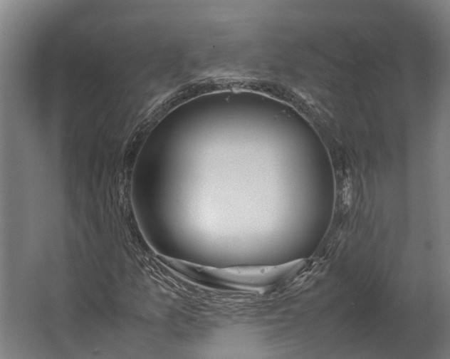 X0000062621157200601040958