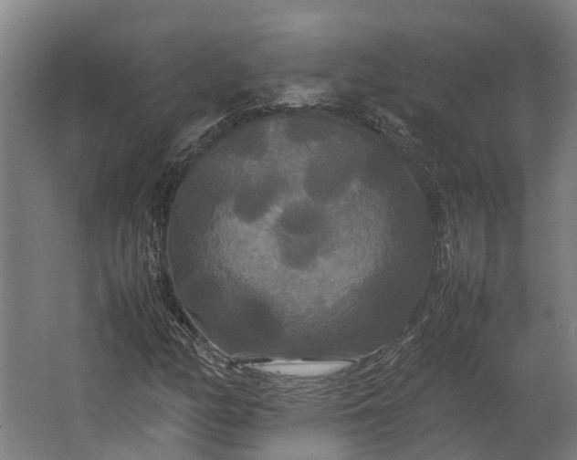 X0000062621158200601040958