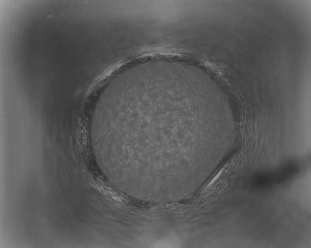 X0000062621159200601040958