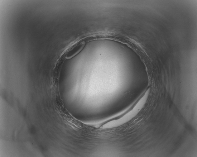 X0000062621160200601040958