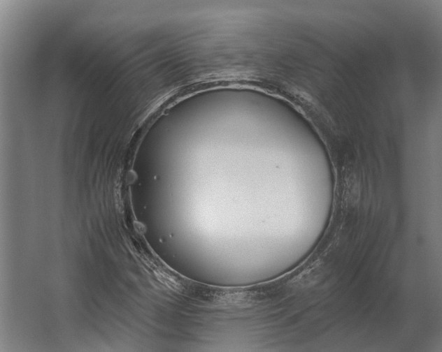 X0000062621162200601040958