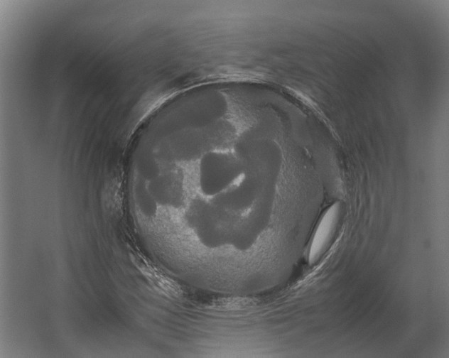 X0000062621163200601040958