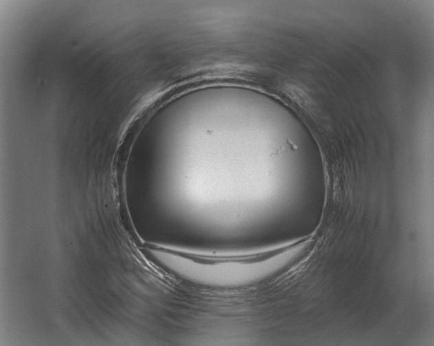 X0000062621164200601040957