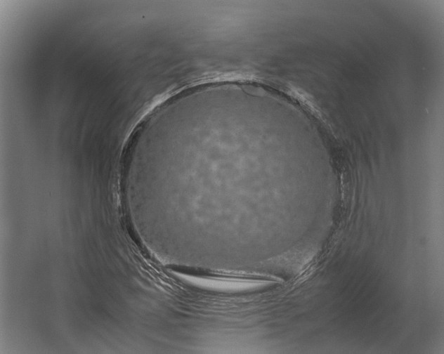 X0000062621165200601040957