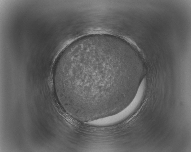 X0000062621167200601040957