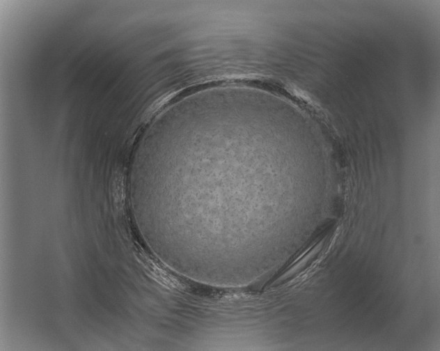 X0000062621169200601040957