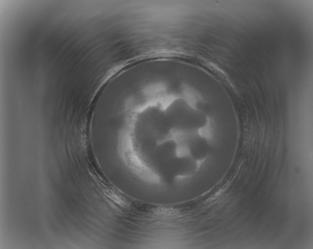 X0000062621170200601040957