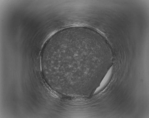 X0000062621171200601040957