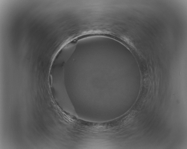 X0000062621173200601040957