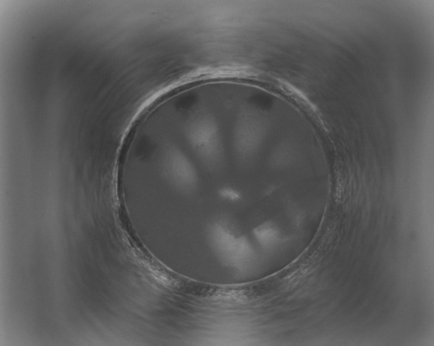 X0000062621174200601040957