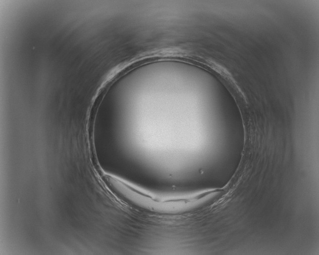 X0000062621176200601040957