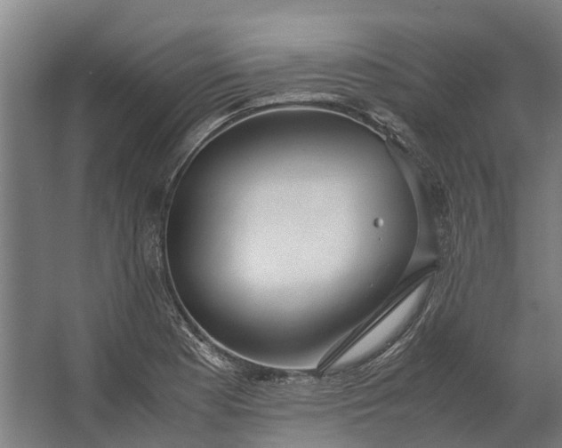 X0000062621177200601040957