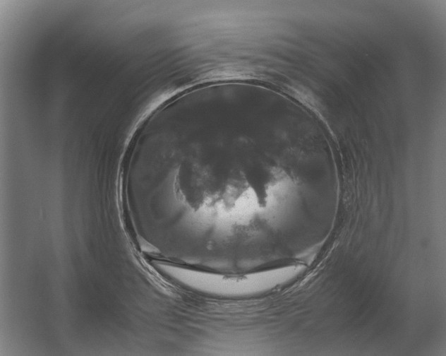 X0000062621179200601040957