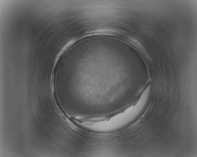 X0000062621180200601040957