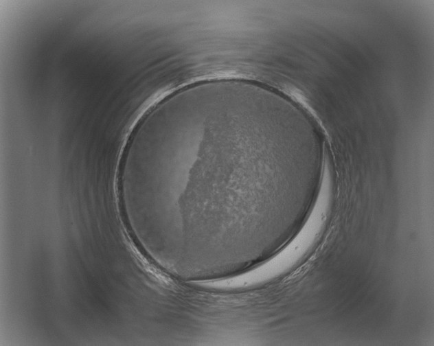 X0000062621181200601040957