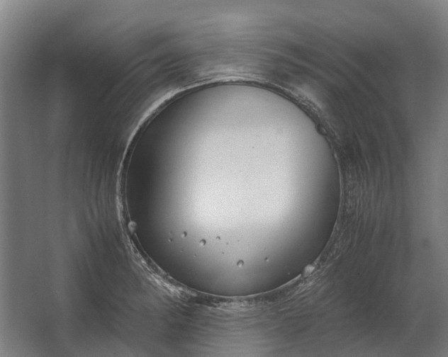 X0000062621182200601040957