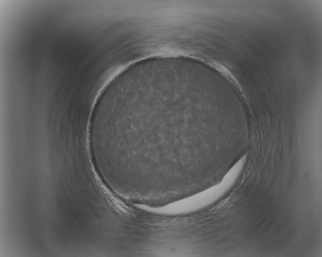 X0000062621183200601040957