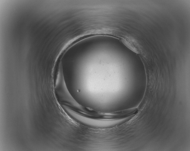 X0000062621184200601040957