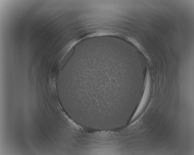 X0000062621185200601040957