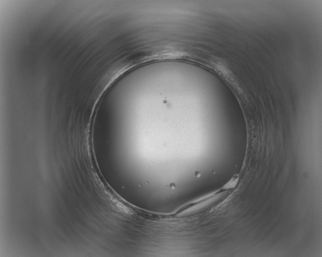 X0000062621186200601040957