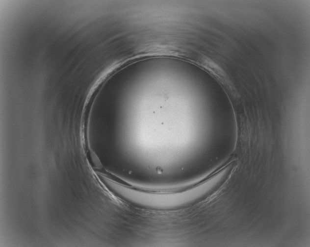 X0000062621188200601040957