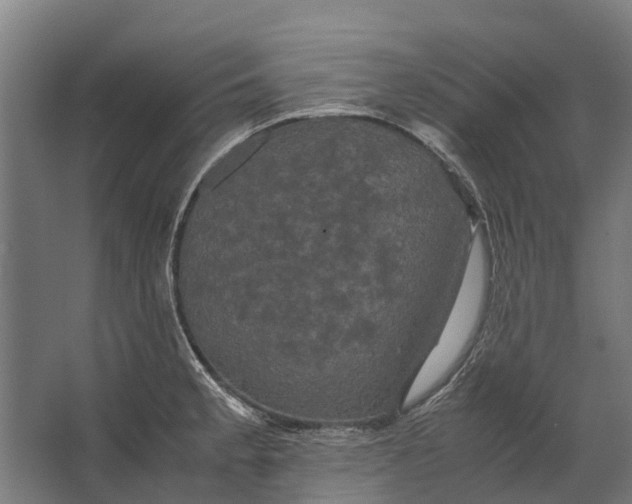 X0000062621189200601040957