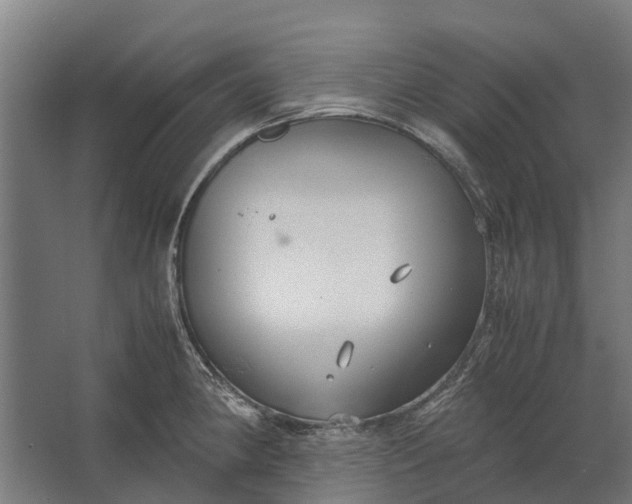 X0000062621190200601040957