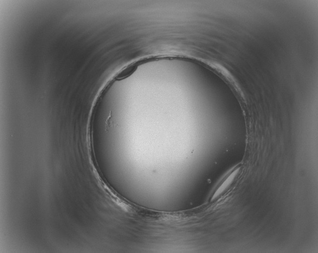 X0000062621191200601040957