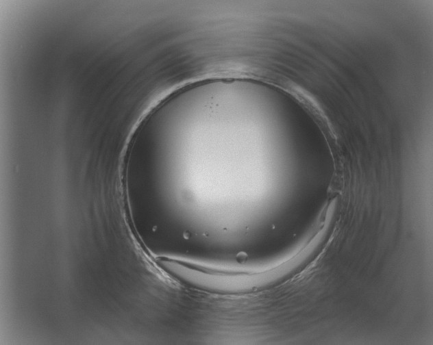 X0000062621192200601040957