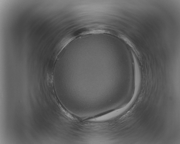 X0000062621193200601040957