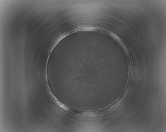 X0000062621194200601040957