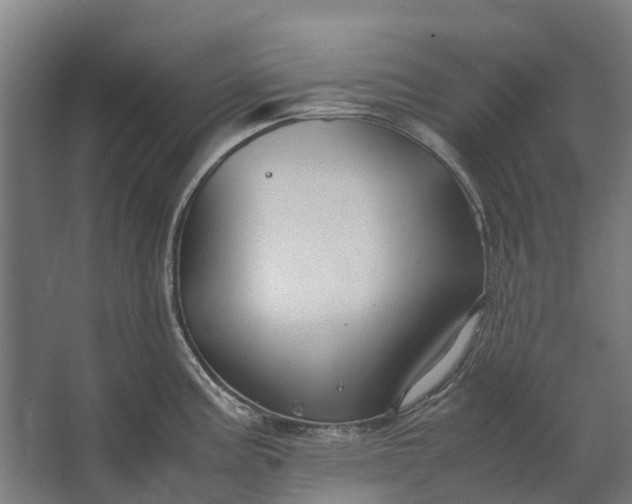 X0000062621195200601040957