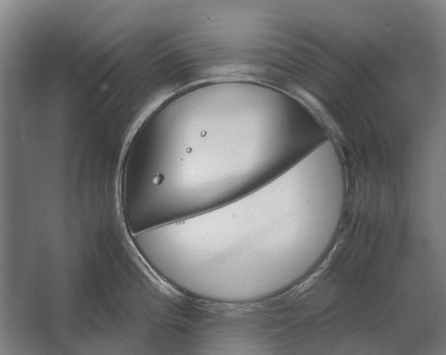 X0000062621196200601040957