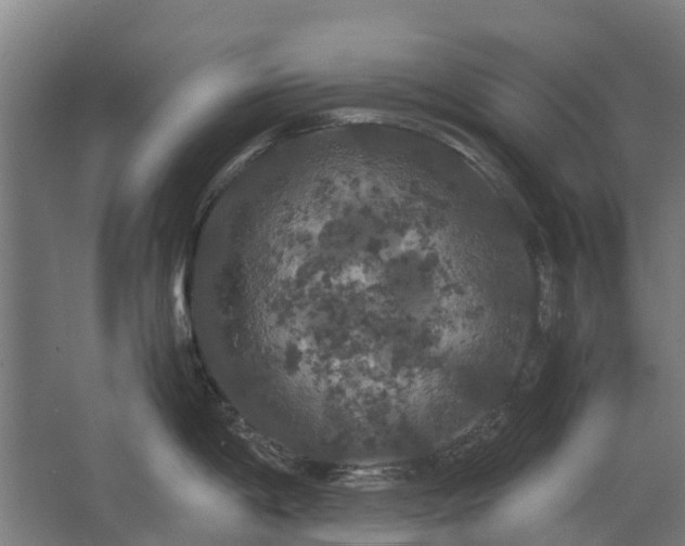 X0000062621198200601040957