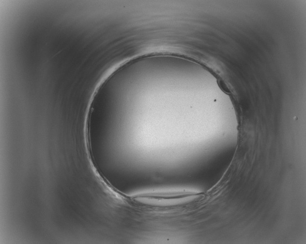 X0000062621199200601040957