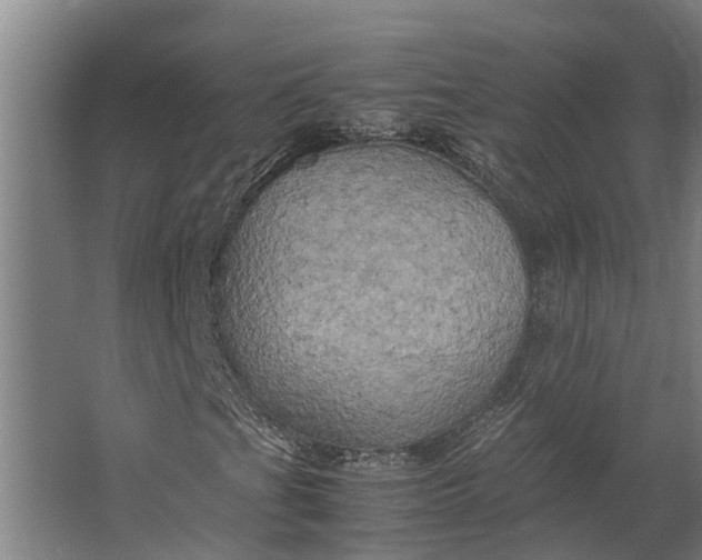 X0000062621201200601040956