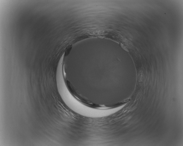 X0000062621202200601040956