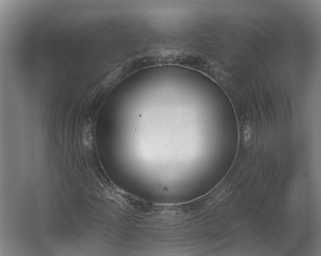 X0000062621204200601040956