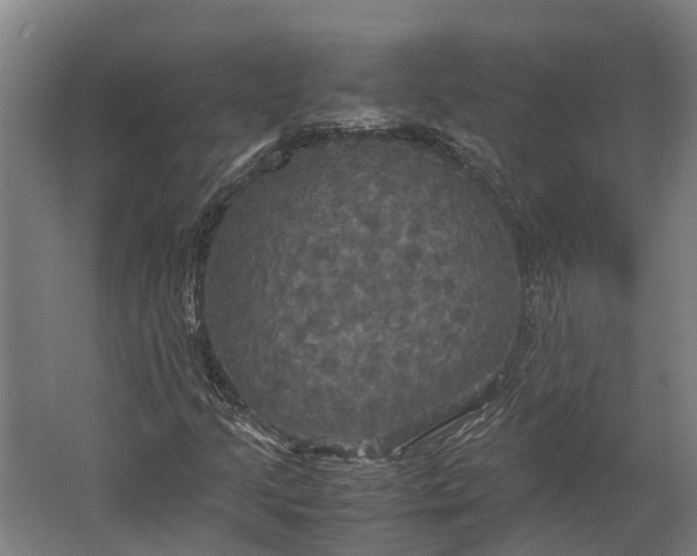 X0000062621205200601040956